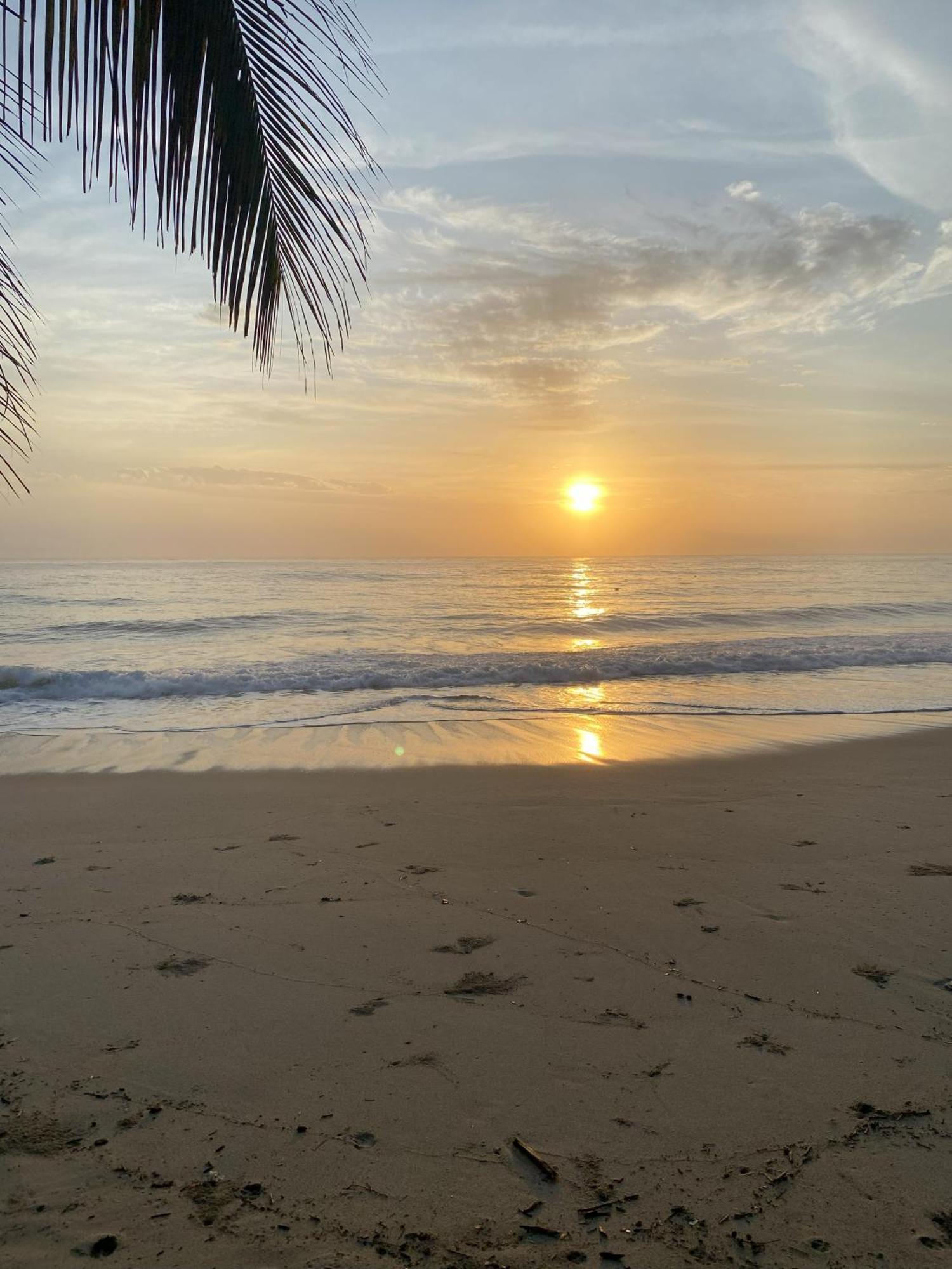 The Shark Cabana Frente Al Mar لوس نارانخوس المظهر الخارجي الصورة